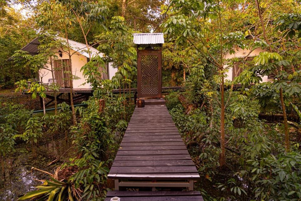 Dreamcatcher Eco Lodge (Adults Only) Rio Dulce Exterior photo