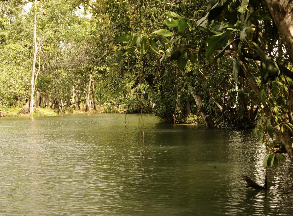 Dreamcatcher Eco Lodge (Adults Only) Rio Dulce Exterior photo