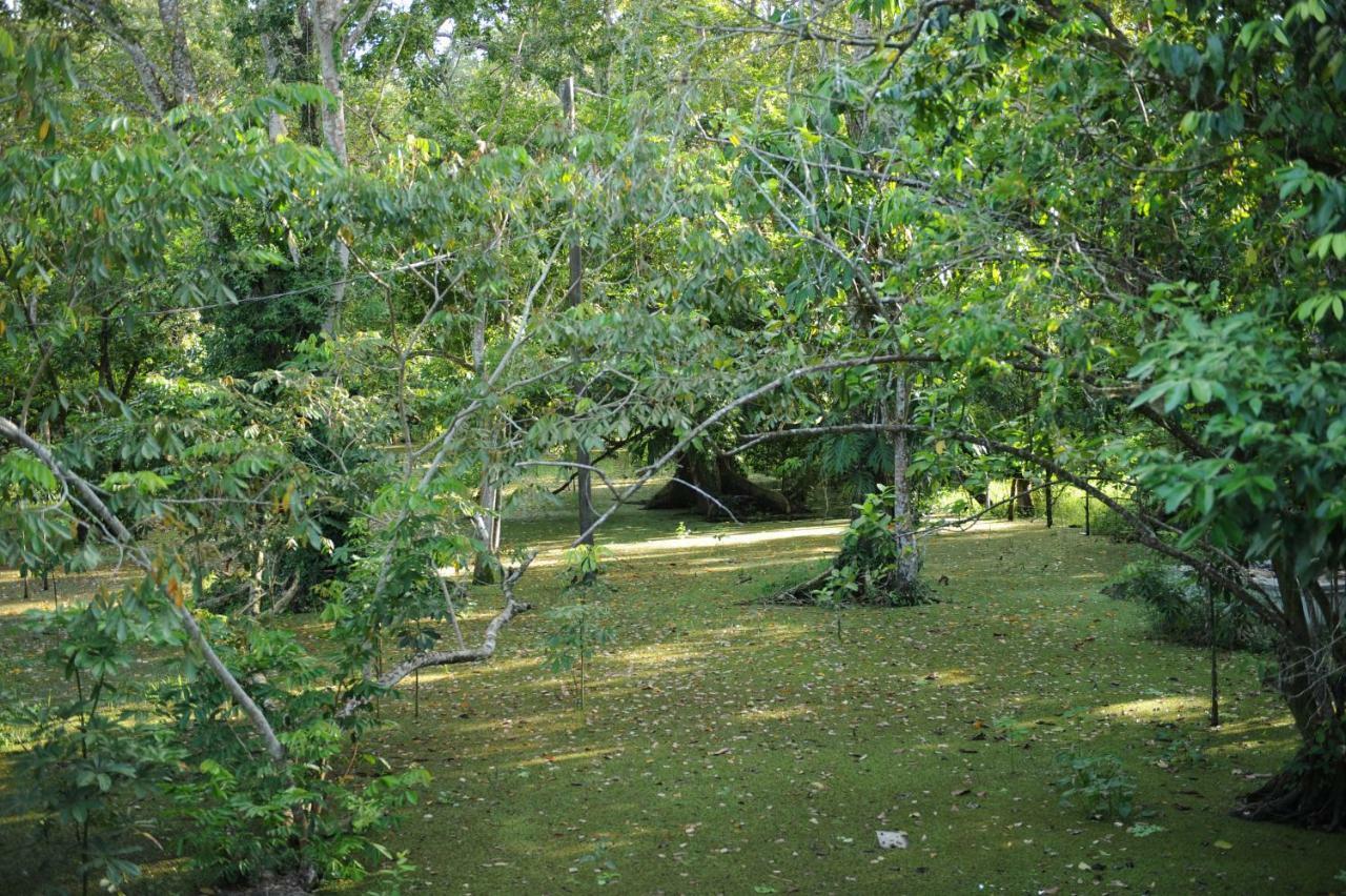Dreamcatcher Eco Lodge (Adults Only) Rio Dulce Exterior photo